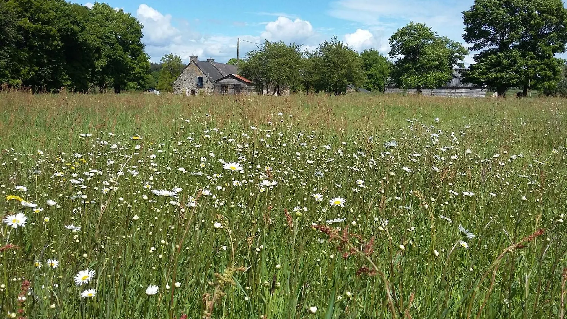 La Petite Grange, La Vieille Ferme Villa Ruffiac  France